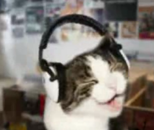 Funky Cats